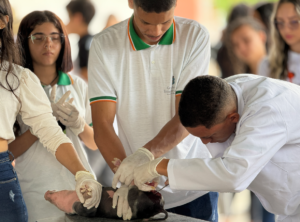 imagem_2024-11-13_104613339